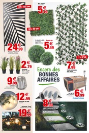 Offre Arbuste dans le catalogue Bazarland du moment à la page 10