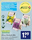Allium-Zierlauch-Mix im Angebot bei ALDI SÜD in Kamp-Lintfort Allium-Zierlauch-Mix Angebote bei ALDI SÜD Kamp-Lintfort für 1,99 €