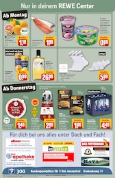 Götterspeise Angebot im aktuellen REWE Prospekt auf Seite 3