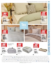 Fleurs Angebote im Prospekt "LE BLANC : STYLÉS LES PETITS PRIX !" von Carrefour auf Seite 11