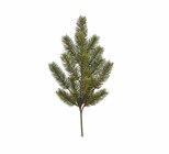 Gasper Tannenzweig 3016723-00 Grün im Angebot bei Möbel Fischer in Fürth Gasper Tannenzweig 3016723-00 Grün Angebote von Gasper bei Möbel Fischer Fürth für 3,99 €