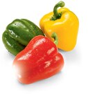 Aktuelle Paprika Angebote bei Netto Marken-Discount in Rostock Aktuelles Paprika-Mix Angebot bei Netto Marken-Discount in Rostock ab 1,45 €