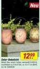 Solar-Dekolicht im Angebot bei toom Baumarkt in Schwabach Solar-Dekolicht Angebote bei toom Baumarkt Schwabach für 12,99 €