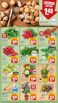 Tomaten im REWE Prospekt "Dein Markt" mit 27 Seiten (München)