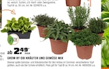 Kräuter und Gemüse Mix von grow by OBI im aktuellen OBI Prospekt für 2,49 €