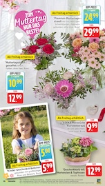 Aktueller EDEKA Prospekt mit Hortensie, "Aktuelle Angebote", Seite 24