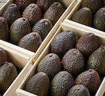 Avocat affiné à Netto dans Saint-Claude Avocat affiné à Netto dans Saint-Claude