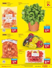 Tomaten im Netto Marken-Discount Prospekt in Nürtingen Aktueller Netto Marken-Discount Prospekt mit Tomaten, "Aktuelle Angebote", Seite 5