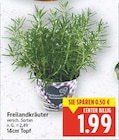 E center Berlin - Freilandkräuter Angebot im Prospekt Freilandkräuter bei E center im Berlin Prospekt für 1,99 €