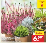 Herbstpflanzen Mix im Angebot bei Netto Marken-Discount in Potsdam Herbstpflanzen Mix Angebote bei Netto Marken-Discount Potsdam für 6,99 €