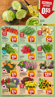 Tomaten im REWE Prospekt "Dein Markt" mit 28 Seiten (Oldenburg)