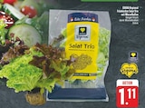 Aktuelles Fränkisches Salat Trio mit Wurzelballen Angebot bei EDEKA in Nürnberg ab 1,11 €