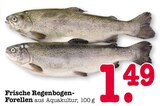 Frische Regenbogen-Forellen von  im aktuellen E center Prospekt für 1,49 €