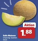 Galia Melonen im Angebot bei combi in Osnabrück Galia Melonen Angebote bei combi Osnabrück für 1,88 €