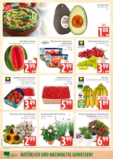 Marktkauf Prospekt der aktuellen Woche, gültig von 27.07.2026 bis 01.08.2026 Aktueller Marktkauf Prospekt "Top Angebote" mit 36 Seiten