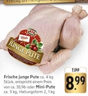 Junge Pute im Angebot bei EDEKA in Frankfurt Junge Pute Angebote von AIA bei EDEKA Frankfurt für 8,99 €