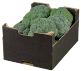 Broccoli im aktuellen METRO Prospekt