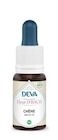 DEVA-Complément alimentaire fleur de Bach chêne bio Deva - 15 ml en promo chez Botanic DEVA-Complément alimentaire fleur de Bach chêne bio Deva - 15 ml dans le catalogue Botanic