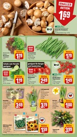 Ähnliche Heckenpflanzen Angebote im Prospekt "Dein Markt" von REWE in Wiesbaden Ähnliche Angebote wie Heckenpflanzen im Prospekt "Dein Markt" auf Seite 7 von REWE in Wiesbaden