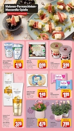 Weinbrand im REWE Prospekt in Bocholt Aktueller REWE Prospekt mit Weinbrand, "Dein Markt", Seite 25