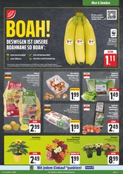 Bananen im EDEKA Prospekt in Hof Aktueller EDEKA Prospekt mit Bananen, "Wir lieben Lebensmittel!", Seite 11