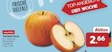 Tafeläpfel Elstar bei combi im Herford Prospekt für 2,66 €