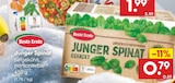 Junger Spinat von Beste Ernte im aktuellen Netto Marken-Discount Prospekt