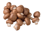 Aktuelles Champignons braun Angebot bei tegut in Stuttgart ab 1,29 €