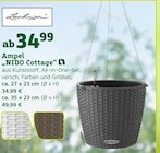 Ampel „NIDO Cottage“ für 34,99 € bei Pflanzen Kölle im Angebot Ampel „NIDO Cottage“ im aktuellen Pflanzen Kölle Prospekt