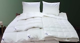 Aktuelles Ganzjahresdecke Dina Angebot bei Möbel Martin in Mainz ab 54,95 €