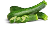 Bio-Zucchini bei Penny im Dörentrup Prospekt für 1,00 €