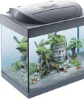 Starter Line Aquarium Angebote von Tetra bei ZooRoyal Elmshorn für 54,99 €
