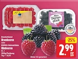 Brombeeren für 2,99 € bei E center im Angebot Brombeeren im aktuellen E center Prospekt