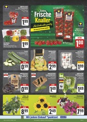 Blumen im E center Prospekt in Erlangen Aktueller E center Prospekt mit Blumen, "Wir lieben Lebensmittel!", Seite 9