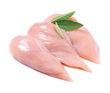 Netto mit dem Scottie Pirna - Hähnchenbrust Angebot im Prospekt Hähnchenbrust bei Netto mit dem Scottie im Pirna Prospekt für 6,99 €