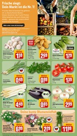 Ähnliche Angebote wie Passierte Tomaten im Prospekt "Dein Markt" auf Seite 11 von REWE in Bonn