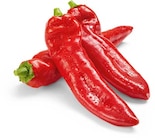 Aktuelle Paprika Angebote bei Netto Marken-Discount in Krefeld Aktuelles Spitzpaprika rot Angebot bei Netto Marken-Discount in Krefeld ab 1,79 €