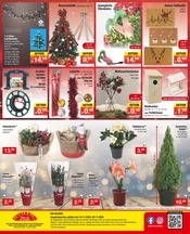 Gartendeko im Zimmermann Prospekt in Rüsselsheim Aktueller Zimmermann Prospekt mit Gartendeko, "Mehr als Du denkst!", Seite 12