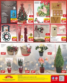 Verlängerungskabel Angebot im Zimmermann Prospekt, gültig von 24.11.2025 bis 29.11.2025 Verlängerungskabel Angebot im aktuellen Zimmermann Prospekt auf Seite 12