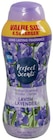 Wäscheparfum im Angebot bei Zimmermann in Aurich Wäscheparfum Angebote von Perfect Scents bei Zimmermann Aurich für 6,99 €