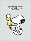 Wohndecke im Angebot bei Marktkauf in Stade Wohndecke Angebote von PEANUTS bei Marktkauf Stade für 24,99 €