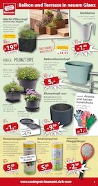 Ähnliche Trachtenmode Angebote im Prospekt "... da, wo die Preise cool bleiben!" von Sonderpreis Baumarkt in Göttingen Ähnliche Angebote wie Trachtenmode im Prospekt "... da, wo die Preise cool bleiben!" auf Seite 5 von Sonderpreis Baumarkt in Göttingen