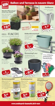Pflanzen im Sonderpreis Baumarkt Prospekt "... da, wo die Preise cool bleiben!" mit 16 Seiten (Göttingen)