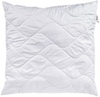 Aktuelle Kissen Angebote bei REWE in Darmstadt Aktuelles Kopfkissen Terrafill³ Angebot bei REWE in Darmstadt ab 17,99 €