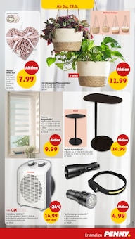 Blumentopf im aktuellen Penny Prospekt (Heilbronn) Blumentopf im Penny Prospekt "Wer günstig will, muss Penny." mit 46 Seiten (Heilbronn)