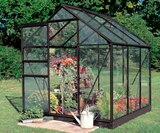 Gewächshaus Popular 3,8 m² Angebote von Halls bei toom Baumarkt Rottenburg für 479,00 €