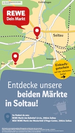 Der aktuelle REWE Prospekt Dein Markt