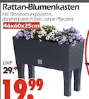 Aktuelles Rattan-Blumenkasten Angebot bei Wreesmann in Dresden ab 19,99 €