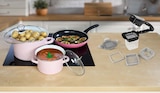 Flachbratpfanne im Angebot bei Netto Marken-Discount in Heinsberg Flachbratpfanne Angebote von alpina bei Netto Marken-Discount Heinsberg für 4,99 €