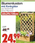 Blumenkasten mit Rankgitter im Angebot bei Wreesmann in Cottbus Blumenkasten mit Rankgitter Angebote bei Wreesmann Cottbus für 24,99 €